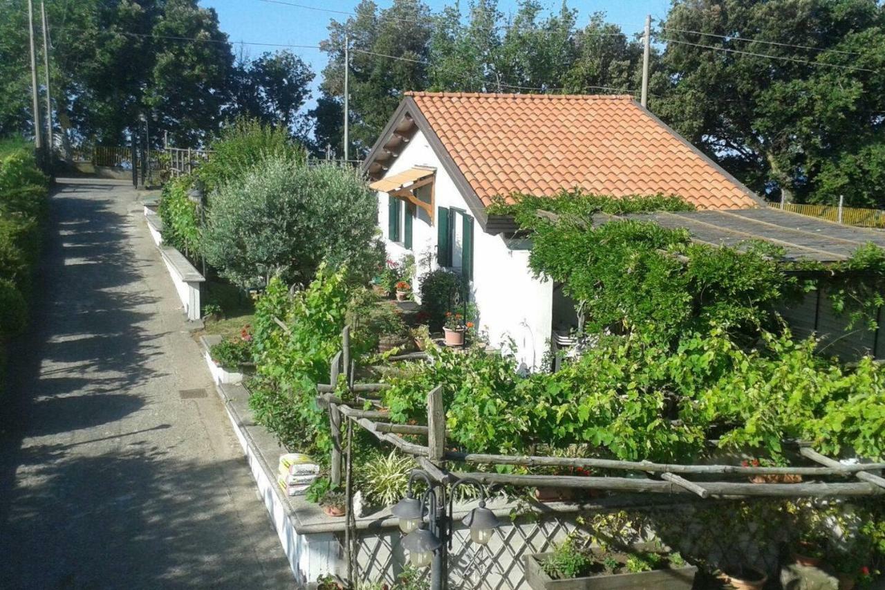 The Cottage 阿杰罗拉 外观 照片