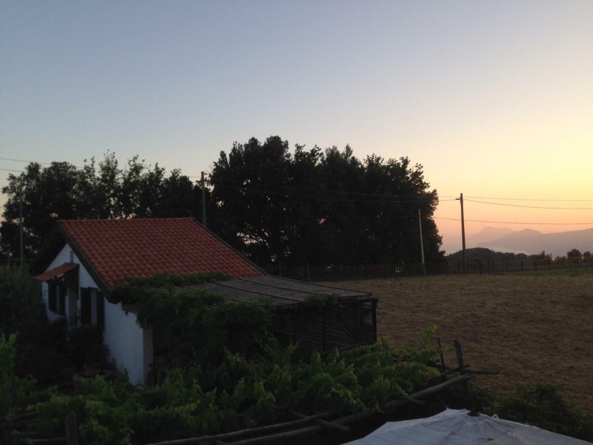 The Cottage 阿杰罗拉 外观 照片